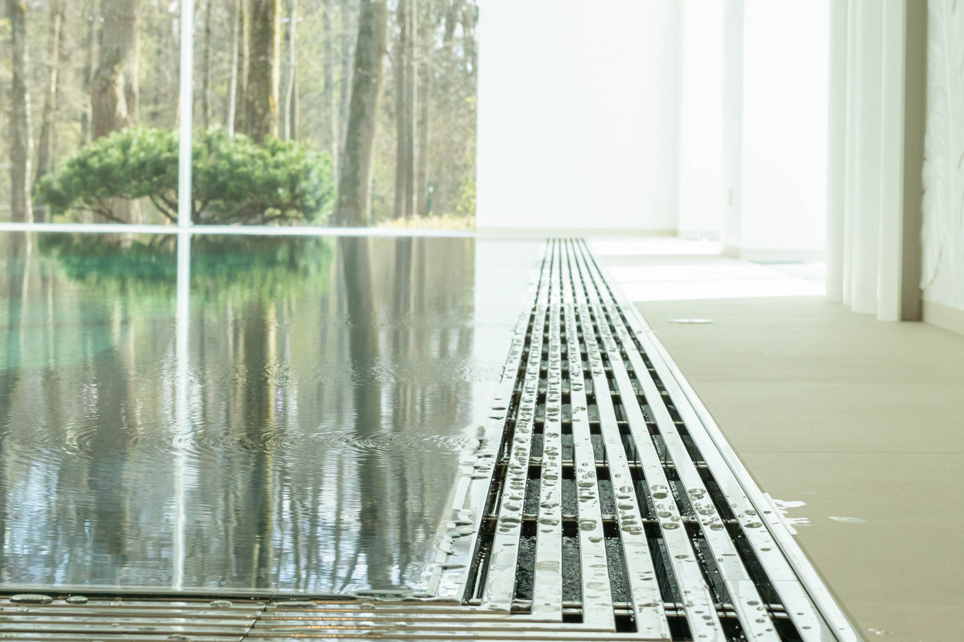 Бассейн «Барвиха XXI» — Нептун